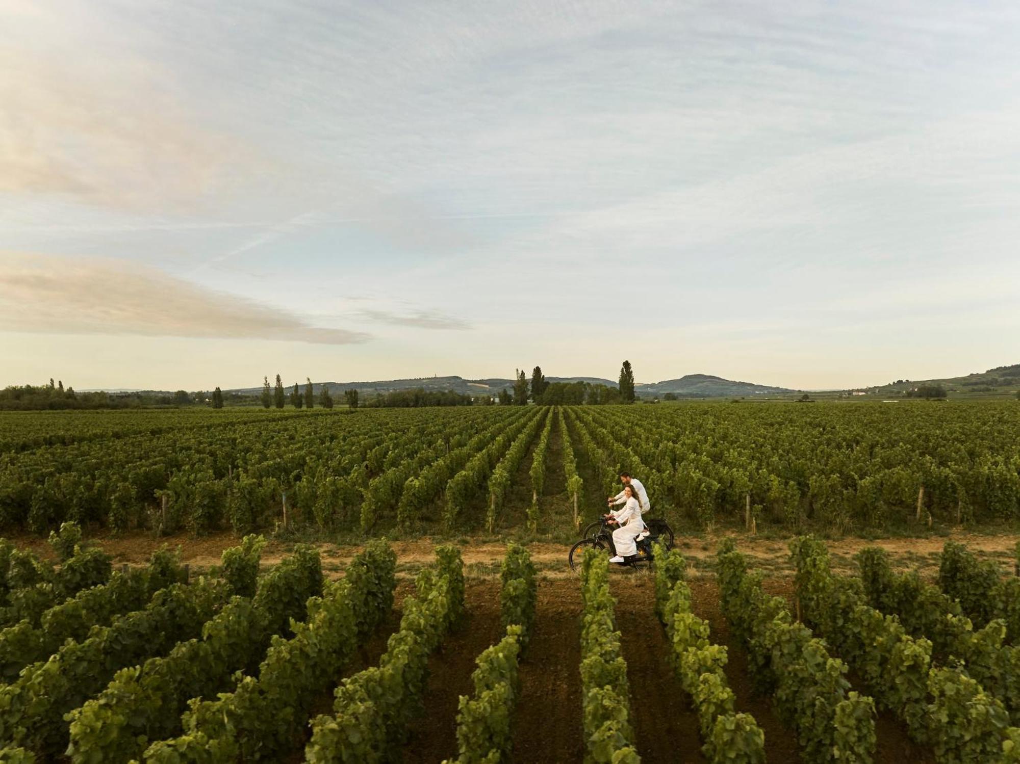 Como Le Montrachet พูลินี-มงทราเชต์ ภายนอก รูปภาพ